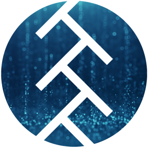 TimeTraveler Coin